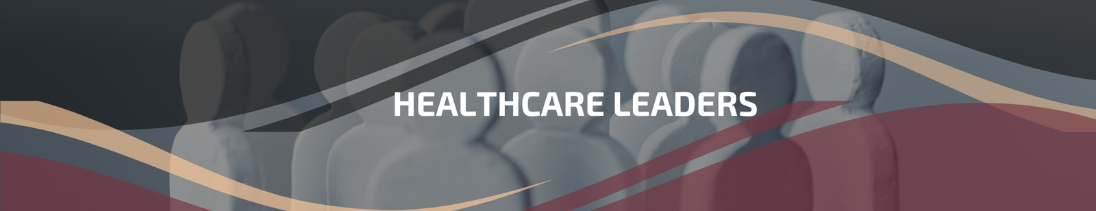 1.2 | Healthcare leaders