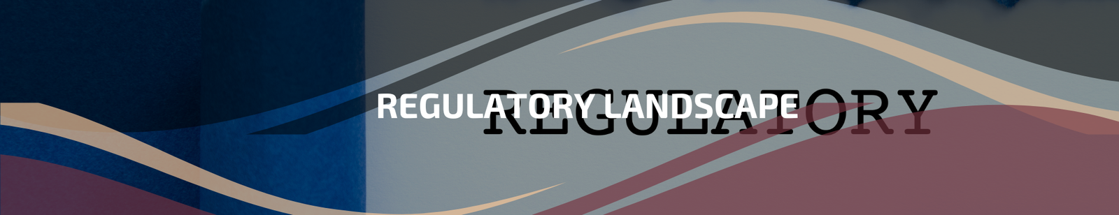 3.3 | Regulatory Landscape