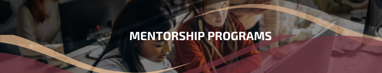 5.6.3 | Mentorship Programs