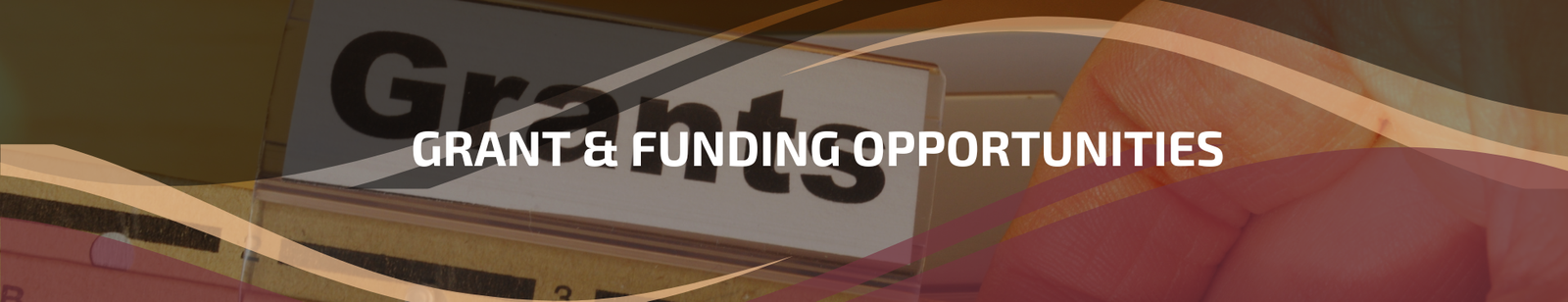 5.2 | Grant & Funding Opportunities (Academic Focus)