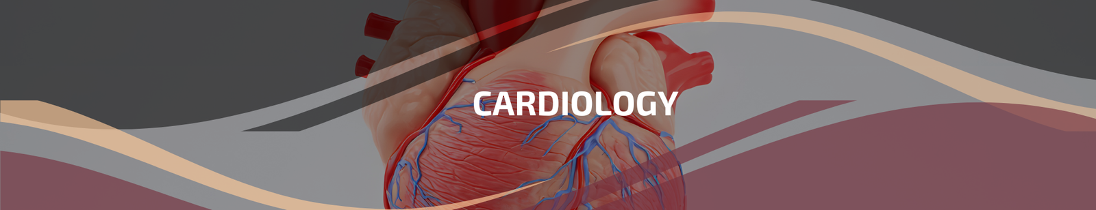 4.2 | Cardiology