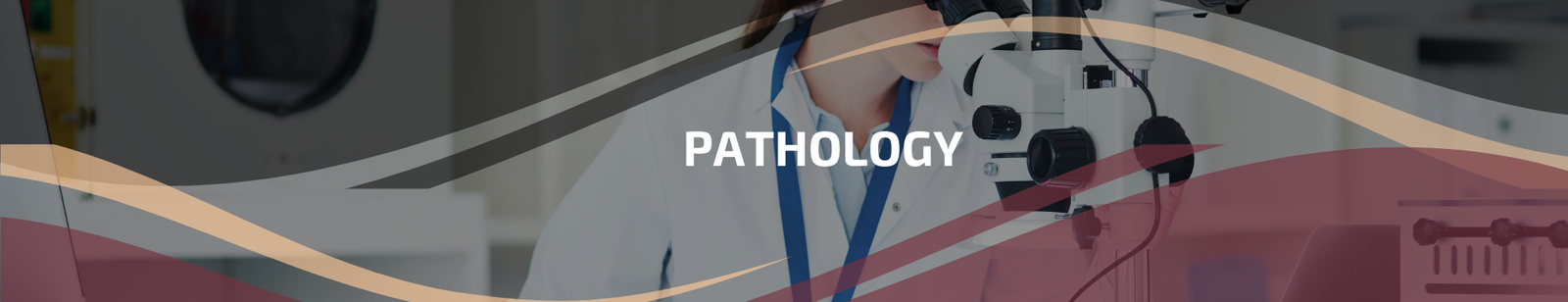 4.4 | Pathology