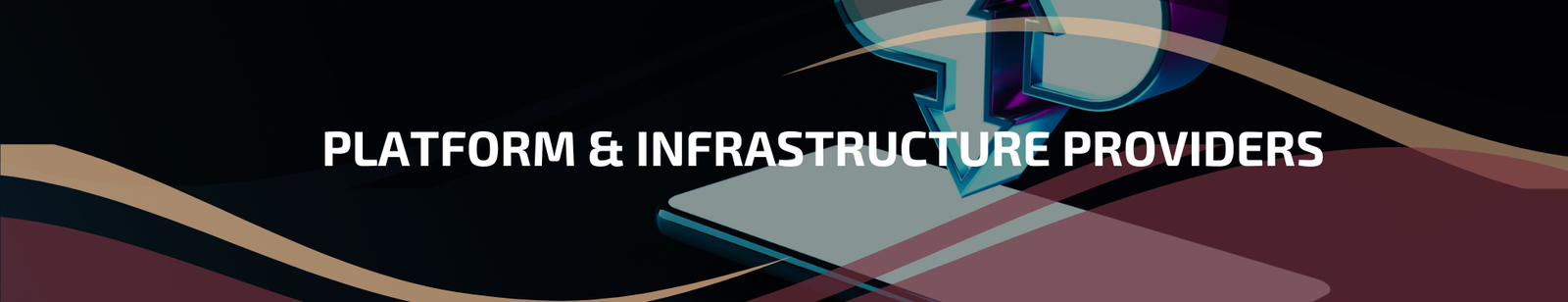 6.2 | Platform & Infrastructure Providers