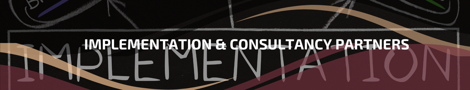 6.3 | Implementation & Consultancy Partners